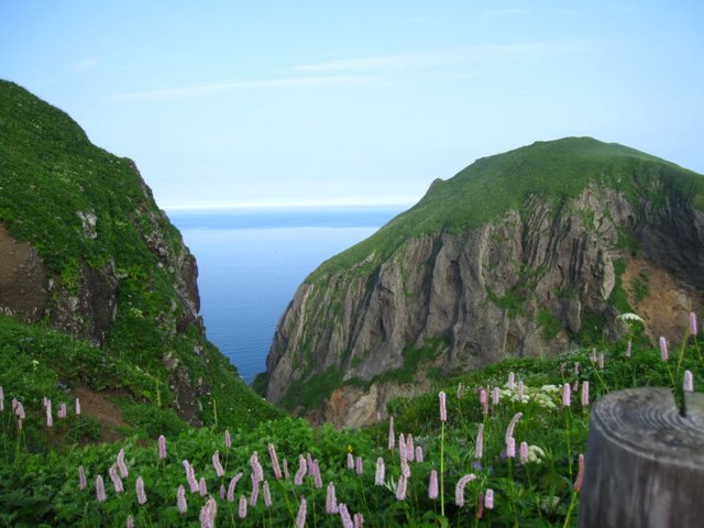 礼文岛 日本最北端的岛屿 隐匿深闺的鲜花浮岛 快资讯