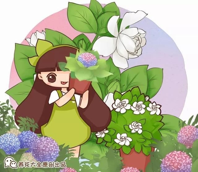 8月养花 头等大事就是修剪 剪的及时 明年坐等爆花 快资讯