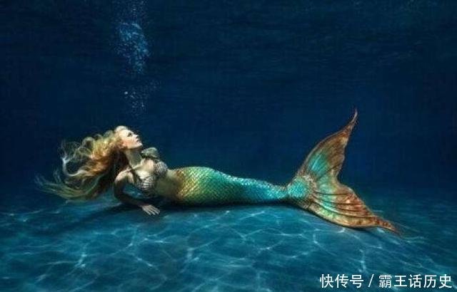 地球最古老的海洋生物 也是美人鱼原型 却遭到人类大量捕杀 快资讯 地球最古老的海洋生物 也是美人鱼原型 却遭到人类大量捕杀 快资讯