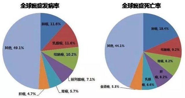 硒是 抗癌之王 快资讯