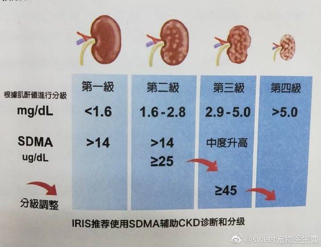 新的肾脏检测指标SDMA 在临床的意义- 快资讯