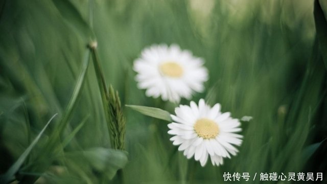 从4月17日开始 桃花回眸 爱意满满 将甜蜜复合的三大星座 快资讯