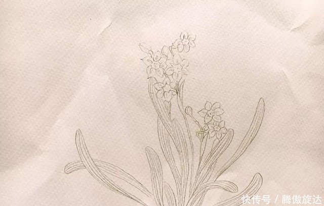 花卉水彩画教程 水仙花怎么画 一步一步教你用水彩画水仙花 快资讯