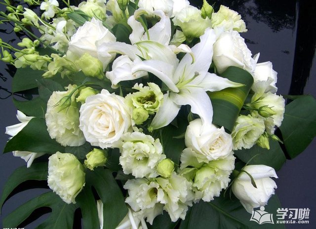 白玫瑰和百合花的花语寓意介绍 快资讯