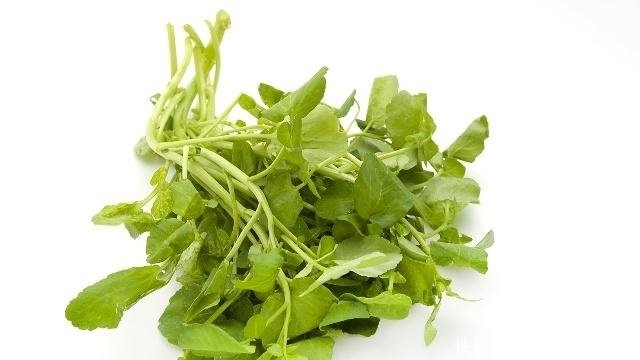 怎样进行豆瓣菜的栽培 快资讯 怎样进行豆瓣菜的栽培 快资讯