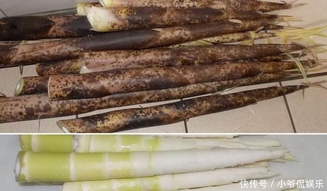 关于桂竹笋 你了解多少 快资讯 关于桂竹笋 你了解多少 快资讯