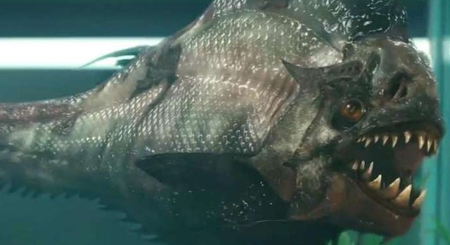 食人鱼为什么没称霸亚马逊河流因为那有种它近不了身的天敌 快资讯