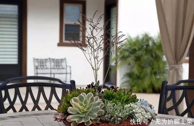 如何制作一个多肉植物的 花园式 盆栽 快资讯 如何制作一个多肉植物的 花园式 盆栽 快资讯