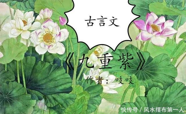 吱吱的 九重紫 金陵春 以和为贵 花娇 雀仙桥 惊爆 快资讯 吱吱的 九重紫 金陵春 以和为贵 花娇 雀仙桥 惊爆 快资讯