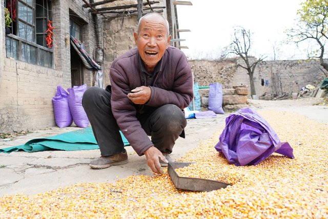 山区农村采风 吃了大叔家山梨还想拿 掏钱时老人翻了脸 快资讯