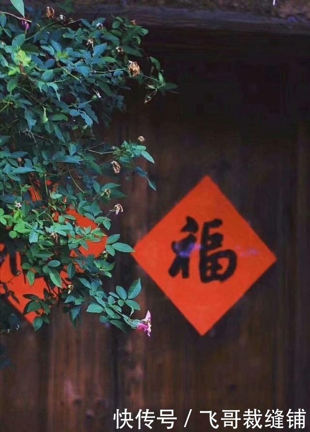 正月初一 花开时 吉祥来 快资讯