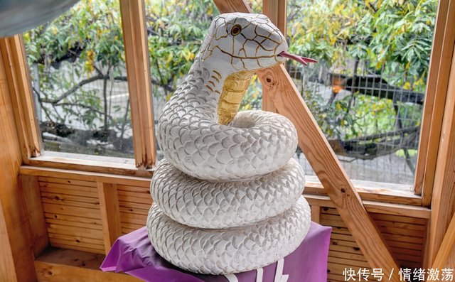 这个信仰蛇神的日本村落 供奉世界曾经最长的大蛇 温泉堪称一绝 快资讯
