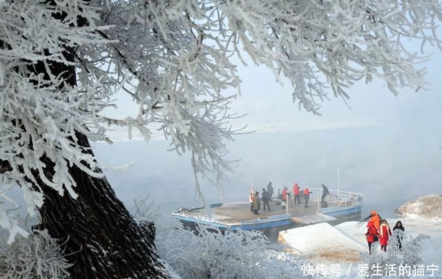 恍若仙境 吉林雾凇今冬首现身 快资讯 恍若仙境 吉林雾凇今冬首现身 快资讯