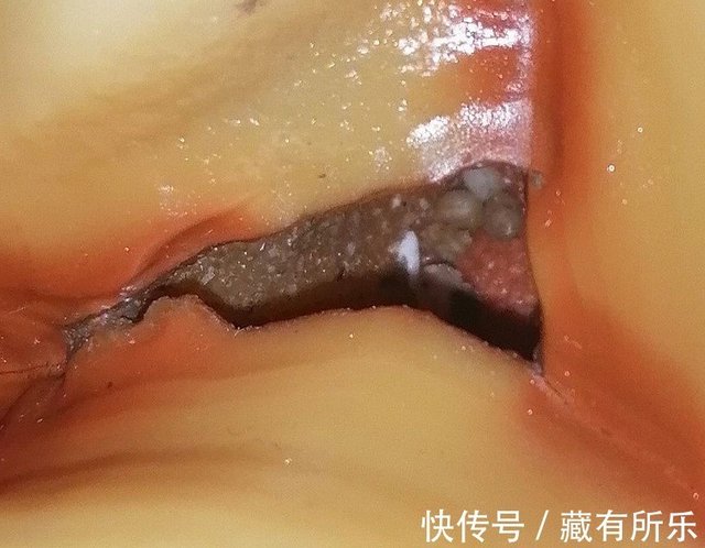 蛋白玛瑙《百变金刚》令人颠覆三观