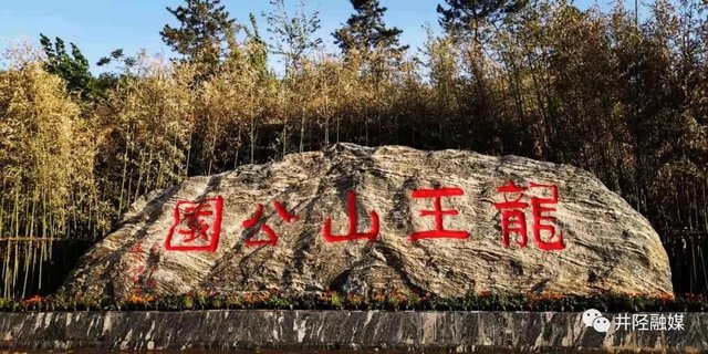 井陉 好漂亮的迎客松 快资讯