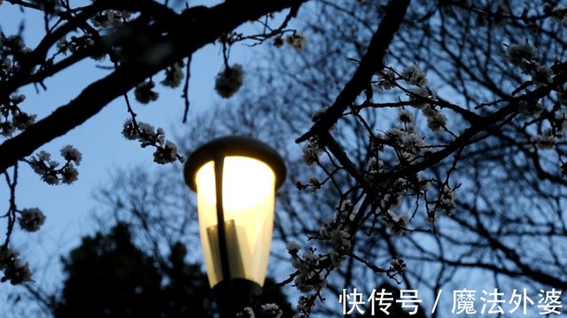 晚上十点半睡觉被同事嘲笑 瞌睡虫 女孩很委屈 快资讯
