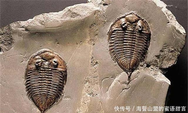 考古新发现 人类社会文明在百亿年前就存在了 还如此高级 快资讯 考古新发现 人类社会文明在百亿年前就存在了 还如此高级 快资讯