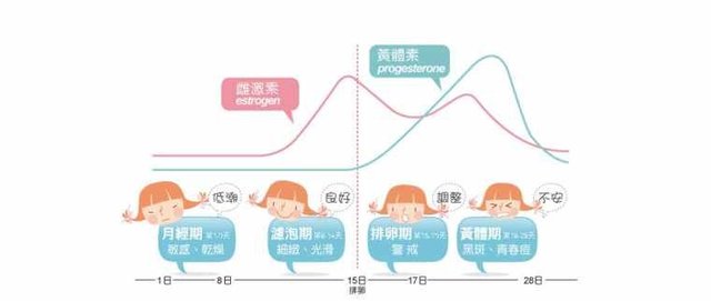 女性激素分泌周期 快资讯