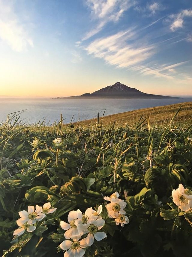 礼文岛 日本最北端的岛屿 隐匿深闺的鲜花浮岛 快资讯