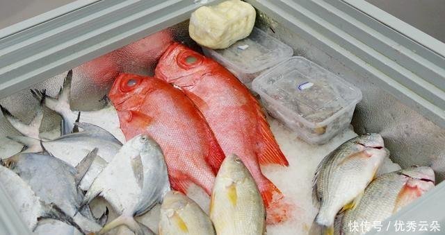 大眼睛和红色的身体 这种鱼叫大眼鲷 适合食用 快资讯
