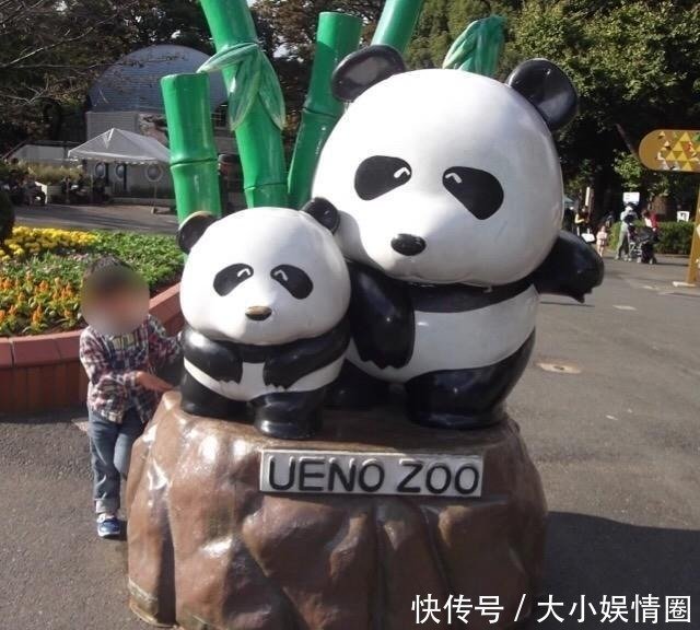 二战日本为何杀光动物园猛兽一头逃走的黑豹造成东京大骚动 快资讯 二战日本为何杀光动物园猛兽一头逃走的黑豹造成东京大骚动 快资讯