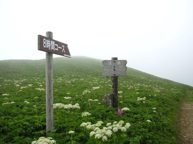礼文岛 日本最北端的岛屿 隐匿深闺的鲜花浮岛 快资讯
