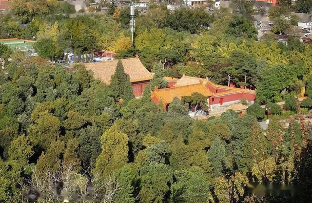 景山观德殿 快资讯