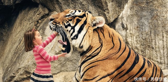 蛇叫长虫 老虎叫大虫 人是什么虫原来我们都是虫子 快资讯