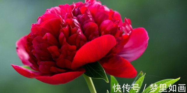 7月日 31日星座运势白羊座细水长流 双鱼座积极主动 快资讯 7月日 31日星座运势白羊座细水长流 双鱼座积极主动 快资讯