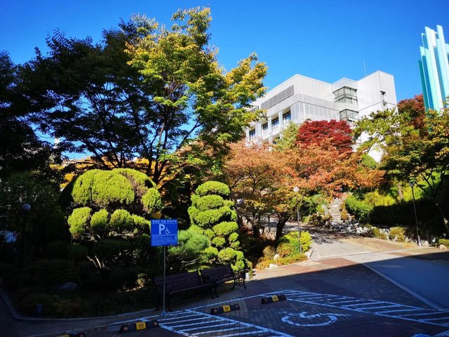 韩国同德女子大学是一所什么样的学校 快资讯