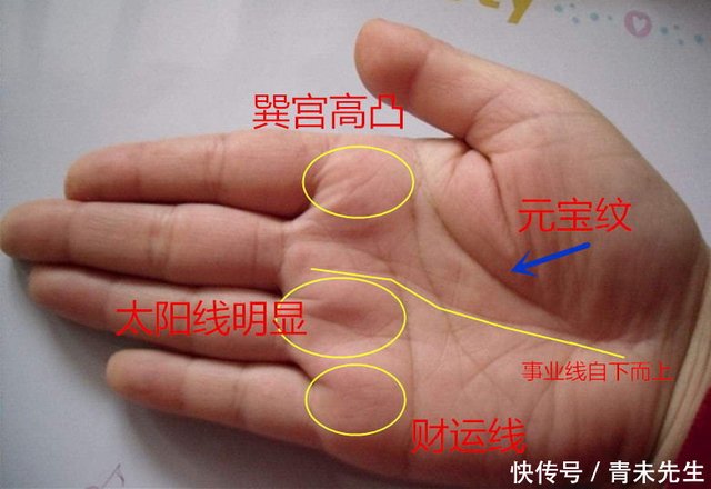 成功线在手 事业有成 富贵不愁 快资讯