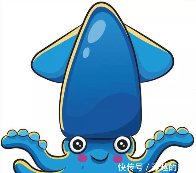 章鱼 鱿鱼 墨鱼的鉴别方法及做法 快资讯 章鱼 鱿鱼 墨鱼的鉴别方法及做法 快资讯