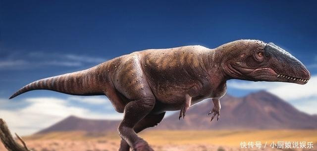 科学家发现 鲨齿龙 比霸王龙厉害 体长14米 重11吨 快资讯 科学家发现 鲨齿龙 比霸王龙厉害 体长14米 重11吨 快资讯