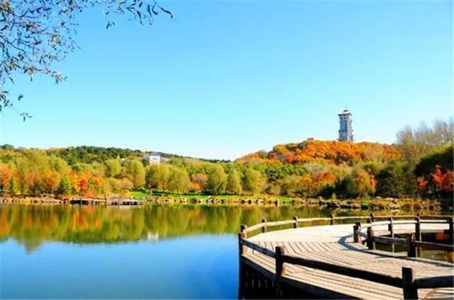 日本人亲手设计的城市 被誉为 东方好莱坞 你知道是哪里吗 快资讯 日本人亲手设计的城市 被誉为 东方好莱坞 你知道是哪里吗 快资讯