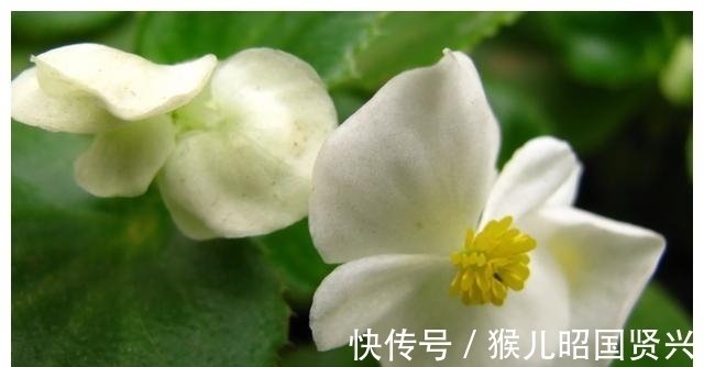 8月11日星座运势 巨蟹实力大增 天蝎头脑清醒 射手保持冷静 快资讯 8月11日星座运势 巨蟹实力大增 天蝎头脑清醒 射手保持冷静 快资讯