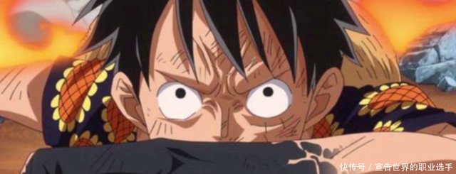 海贼王新世界中 自然系果实落寞 超人系动物系地位上升 快资讯 海贼王新世界中 自然系果实落寞 超人系动物系地位上升 快资讯