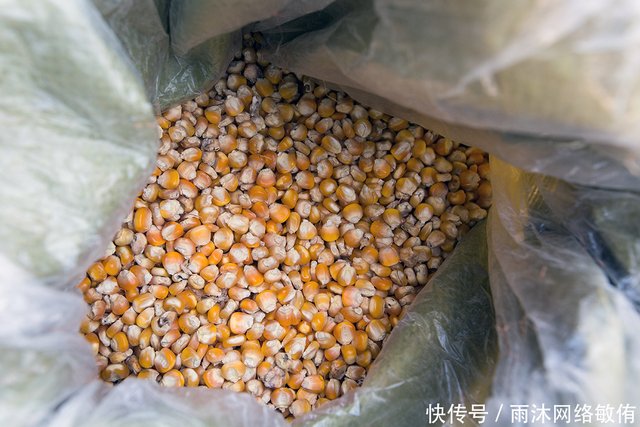 一组爆米花图片 满满都是回忆最有意思是 开炮 瞬间 快资讯 一组爆米花图片 满满都是回忆最有意思是 开炮 瞬间 快资讯