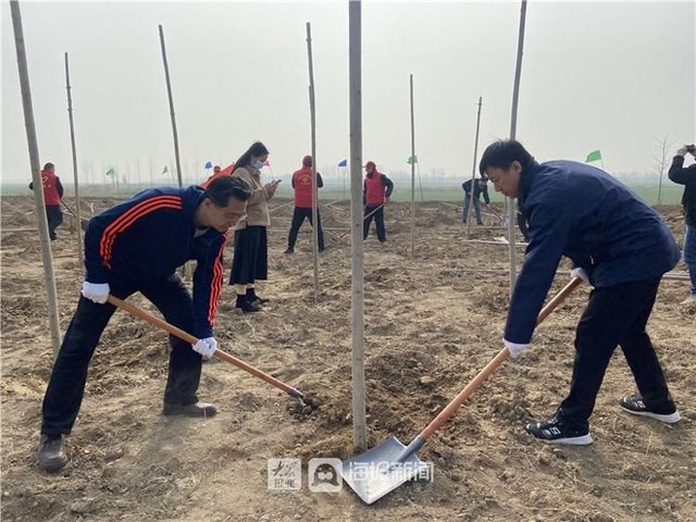 拥抱春天播种绿色 德州农行用实际行动践行爱绿护绿决心 快资讯