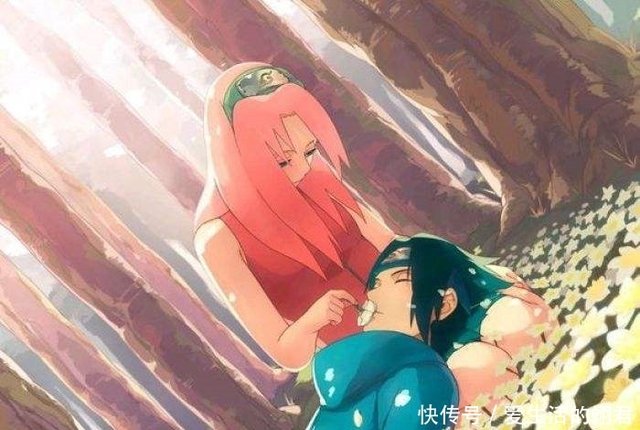 火影忍者 中修成正果的夫妻们 佐井最会挑老婆 天天撒狗粮 快资讯