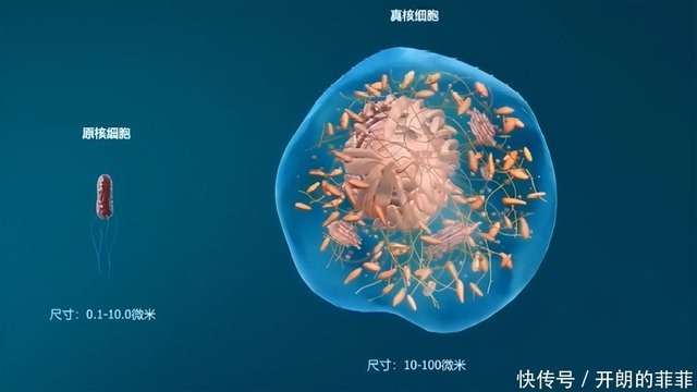 没有氧气也能活吗像外星生命的生物在地球被发现 快资讯