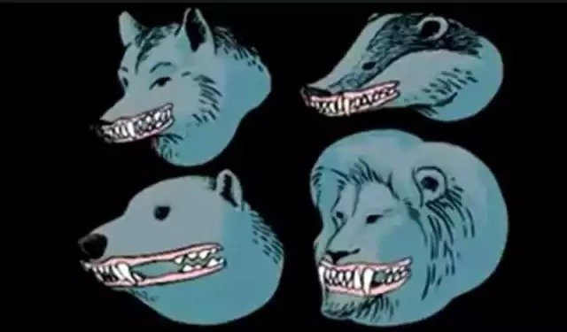 原来我们本就是草食动物 剖析人体结构发现惊人真相 快资讯