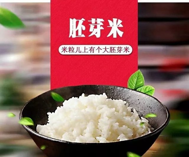 科普 胚芽米适合哪些人吃 快资讯 科普 胚芽米适合哪些人吃 快资讯