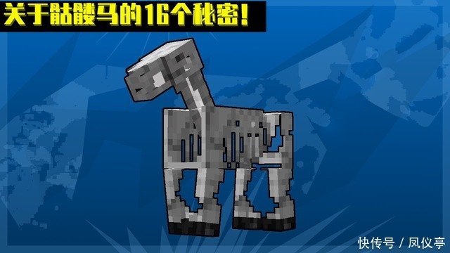 骷髅马 水下坐骑 我的世界 关于骷髅马 你可能不知道的16件事 快资讯 骷髅马 水下坐骑 我的世界 关于骷髅马 你可能不知道的16件事 快资讯
