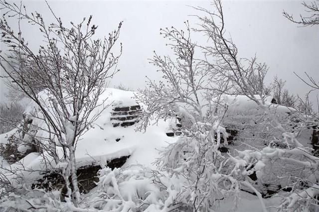 北风吹雪古诗五首 北风行萧萧 雪下如乱巾 快资讯