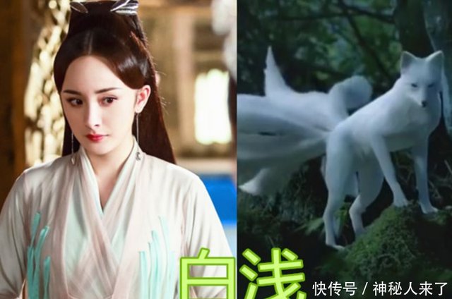 4个版本的 九尾狐 白浅高贵 凤九灵动 看到最后我心动了 快资讯 4个版本的 九尾狐 白浅高贵 凤九灵动 看到最后我心动了 快资讯