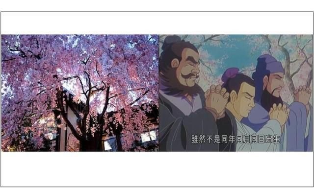 谷村新司一曲 风姿花传 唱出了三国志桃园结义和壮志未酬的悲叹 快资讯