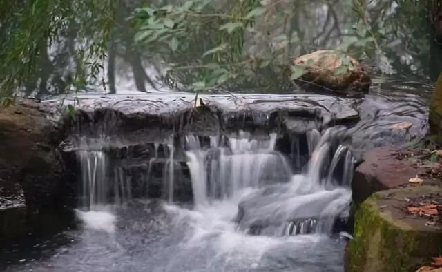 南京流徽榭 我想和你去钟山的角角落落 看最美的景色 快资讯