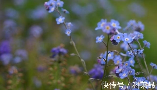 从7月15日开始 互相伤害 互相等待 前缘将至 和好如初 快资讯 从7月15日开始 互相伤害 互相等待 前缘将至 和好如初 快资讯