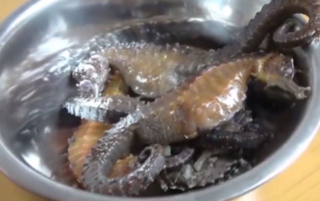 日本大厨现场处理海马 手法十分的熟练 网友直言不敢吃 快资讯