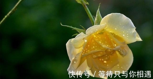 7月30日星座运势 巨蟹突破瓶颈 天蝎头脑清醒 勇往直前 快资讯 7月30日星座运势 巨蟹突破瓶颈 天蝎头脑清醒 勇往直前 快资讯